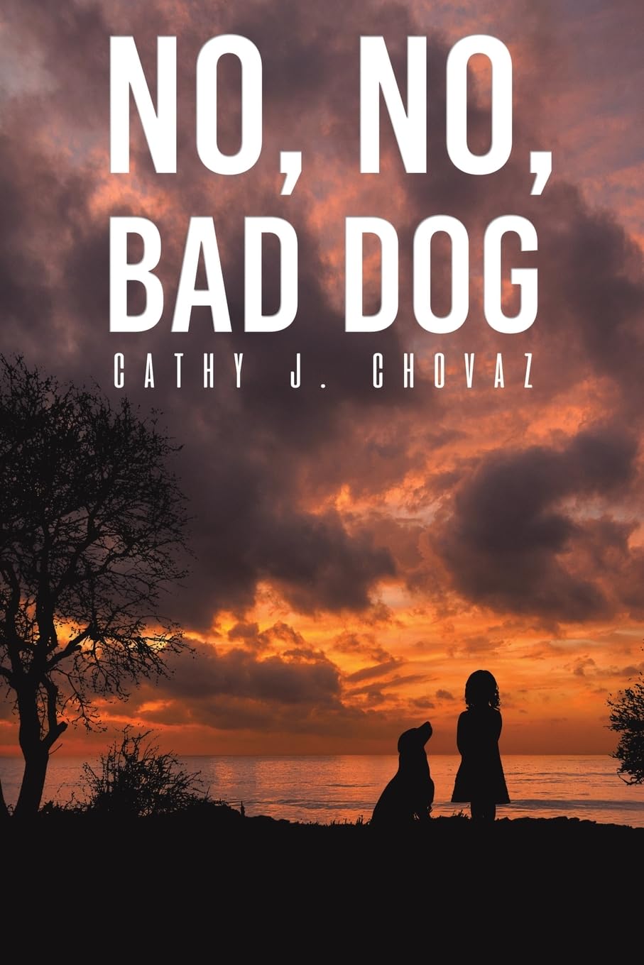 No No Bad Dog book cover